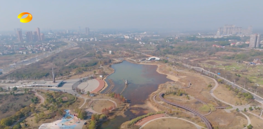 湘潭市委原书记曹炯芳案细节首次披露：预感要被查，与妻子烧掉“要带进棺材的秘密”
