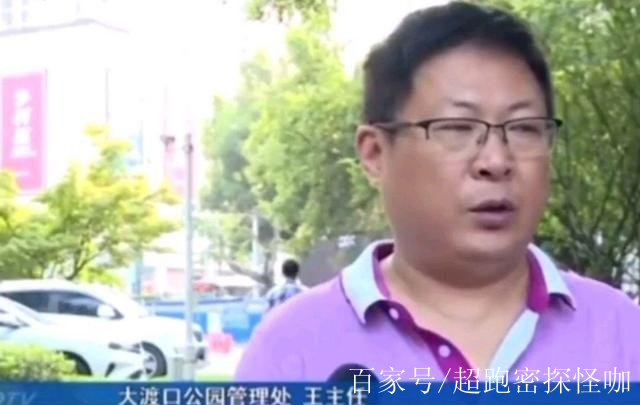 {百家樂}(重庆明星鱼莽子的故事)